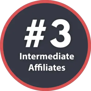 affiliate-marketing-gold-rush-for-intermediate-affiliates